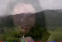 Colibita
