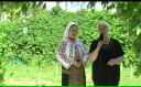 EPR - Anișoara Vlaicu (Episodul 5)