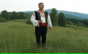 Dumitru Alexandrescu - La poale de codru verde